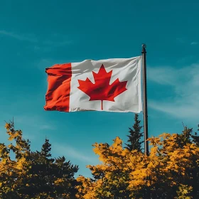 Autumnal Canadian Flag Scene
