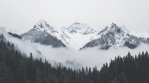 Snowy Mountains in Fog