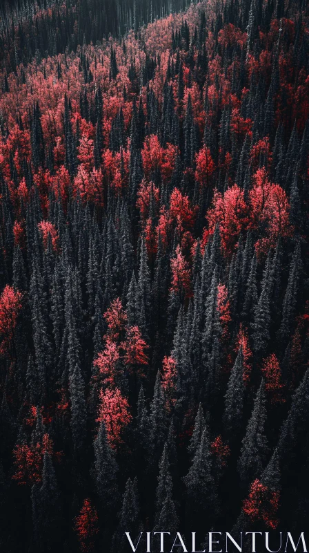 AI ART Red and Orange Autumn Forest from Above