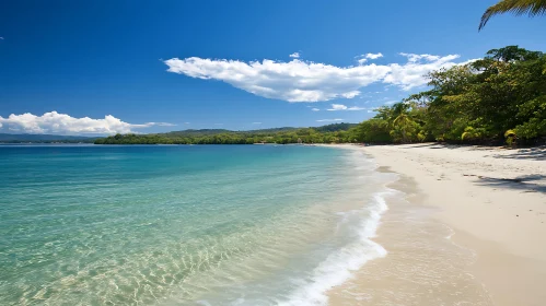 Tropical Beach Paradise with Azure Sea