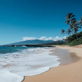 Tropical Beach Paradise with Blue Sky