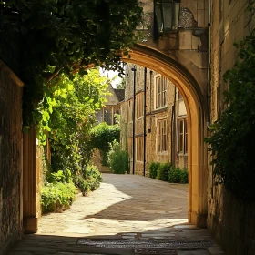 Sunlit Stone Alley with Ivy-Clad Archway and Buildings