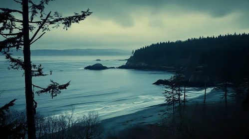 Calm Sea and Forest Landscape