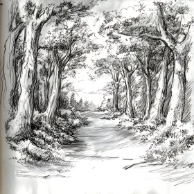 Serene Woodland Path Black and White Art