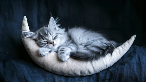 Cute Fluffy Kitten Resting on Crescent Pillow