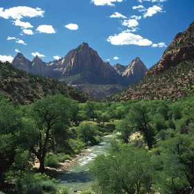 Serene Mountain River View