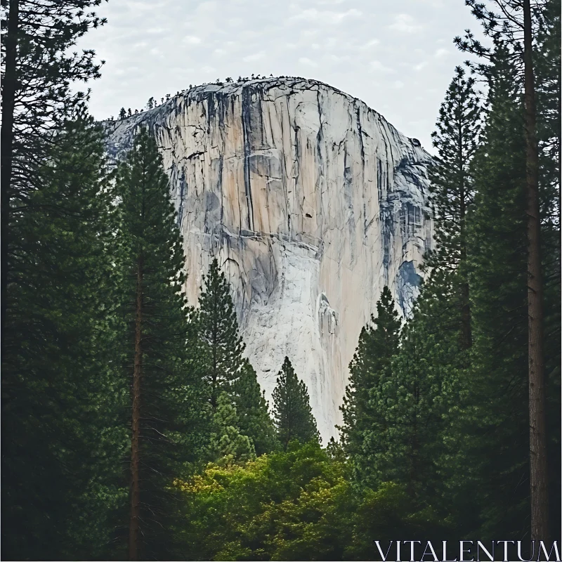 AI ART Picturesque Mountain Framed by Green Forest