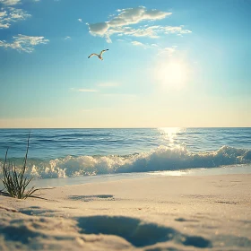 Coastal Serenity: Seagull's Flight at Sunset