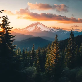 Snowy Peaks and Forest at Sunset