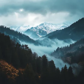 Foggy Mountain View