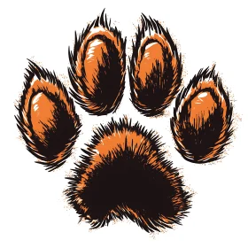 Wildlife Paw Print Illustration