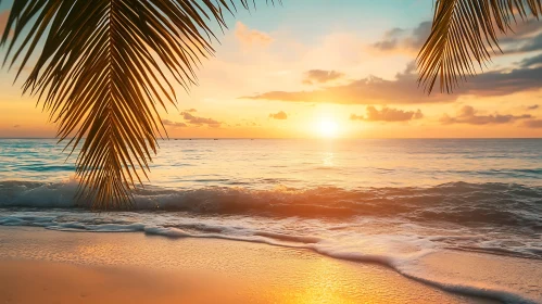 Golden Hour at the Tropical Beach