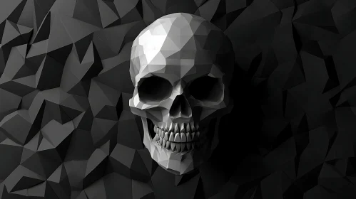 Monochrome Skull Geometry