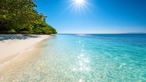 Tropical Beach Scene with Azure Water