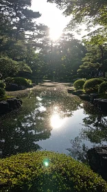 Peaceful Sunlit Pond in Natural Setting