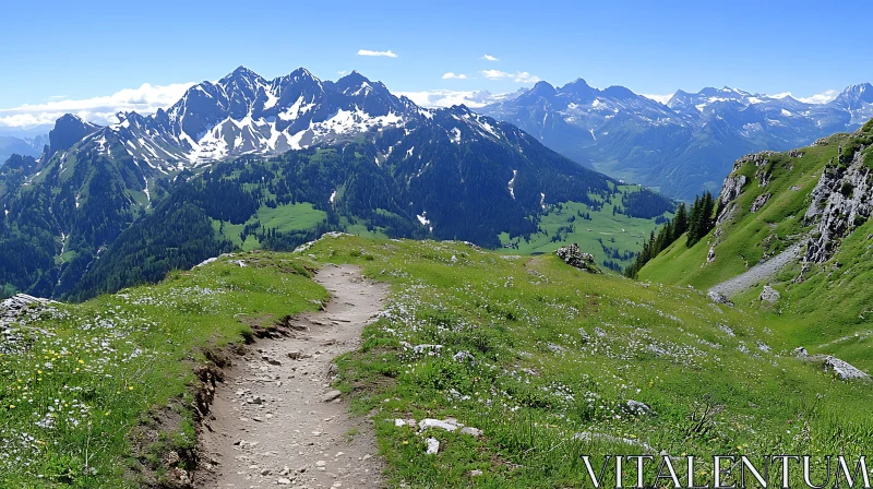 Alpine Mountain Scenery with Green Meadows AI Image