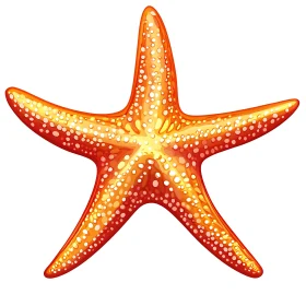 Orange Starfish with White Spots Illustration