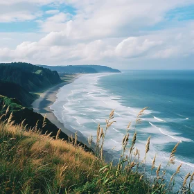 Coastal Serenity: Ocean and Green Hills