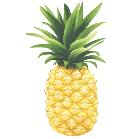 Pineapple Art Print, Tropical Fruit