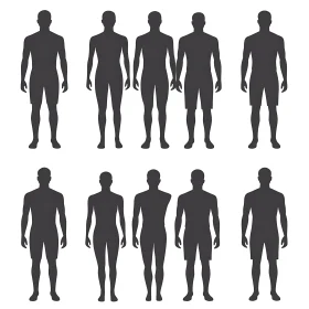 Anatomical Silhouettes: A Visual Guide