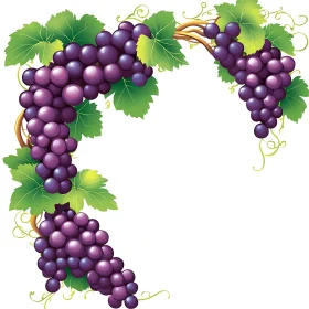 Illustration of Sweet Purple Grapes and Greenery