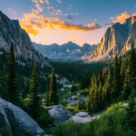 Sunset Over the Mountain Forest