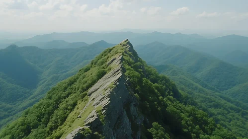 Lush Green Mountain Vista