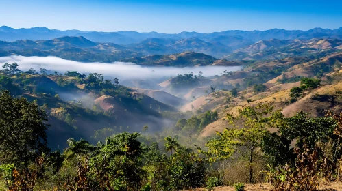 Rolling Hills Landscape with Fog