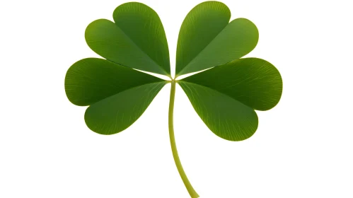 Isolated Four-Leaf Clover Symbol of Luck