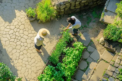 Women in a Courtyard Garden with Sunlight