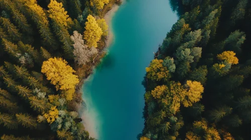 Tranquil Autumn Lake and Forest Aerial View