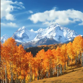 Mountains with Golden Autumnal Trees