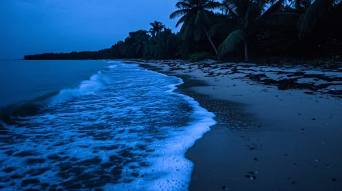 Nighttime Beach Scene with Waves