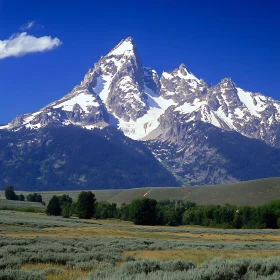 Snowy Peaks and Green Field View