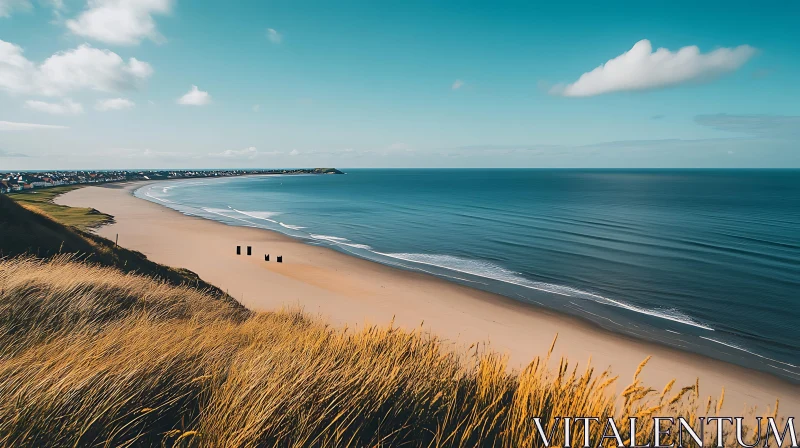 Coastal Serenity: Beach and Sea Landscape
