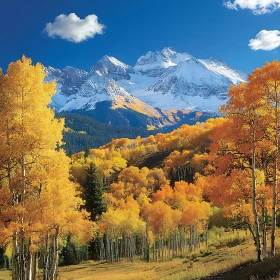 Mountains and Autumn Forest