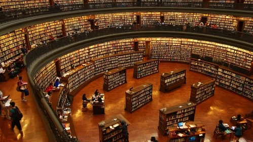 Majestic Library Interior with Books