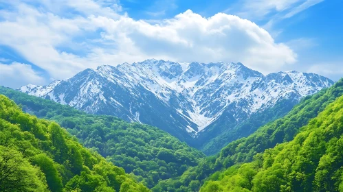 Mountain Peaks and Forest Landscape