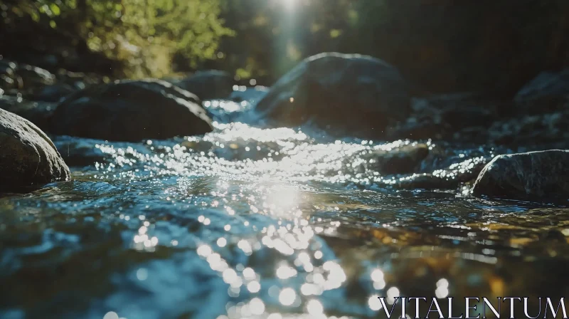 Sunlit Forest Stream AI Image