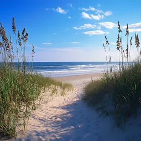 Coastal Path to Ocean Serenity