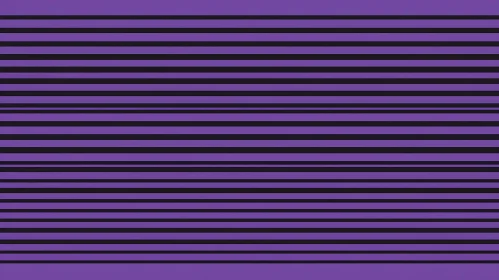 Abstract Purple and Black Line Composition