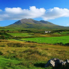 Scenic Mountain View with Green Pastures