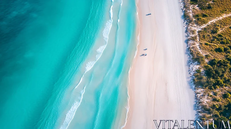 Coastal Serenity: Aerial Beach View AI Image