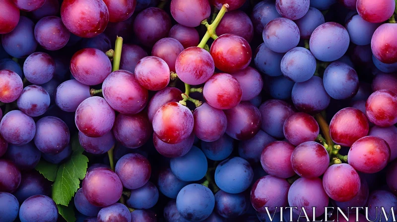 Delicious Grapes Close Up AI Image