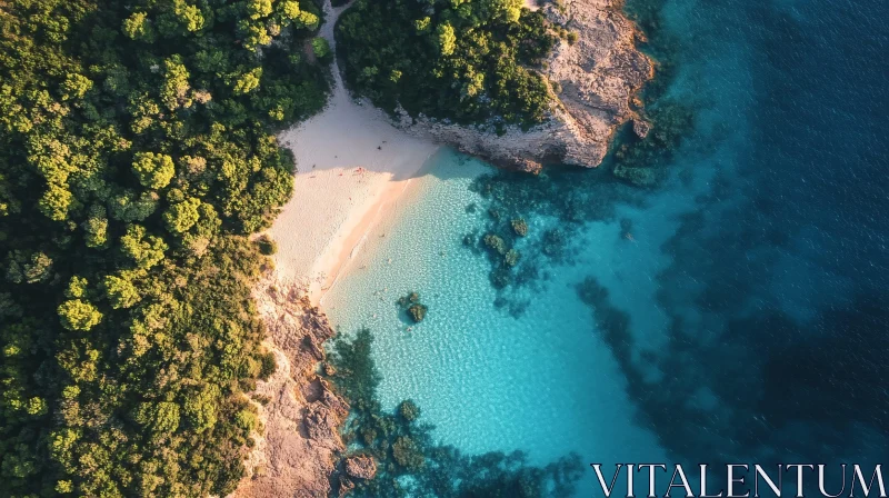 Turquoise Water Beach Aerial View AI Image