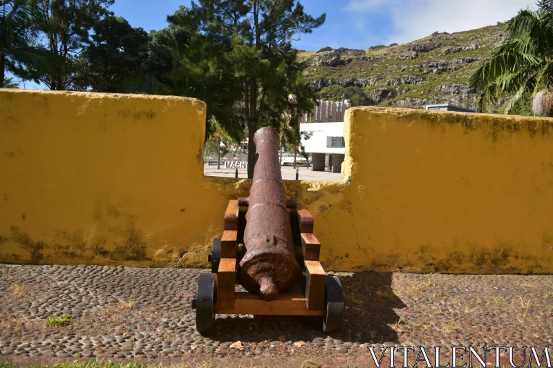 Historic Cannon in Madeira's Scenic Landscape Free Stock Photo