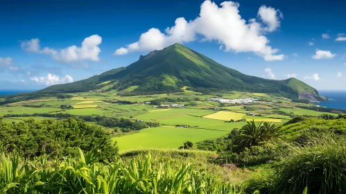 Verdant Mountain Landscape with Fields