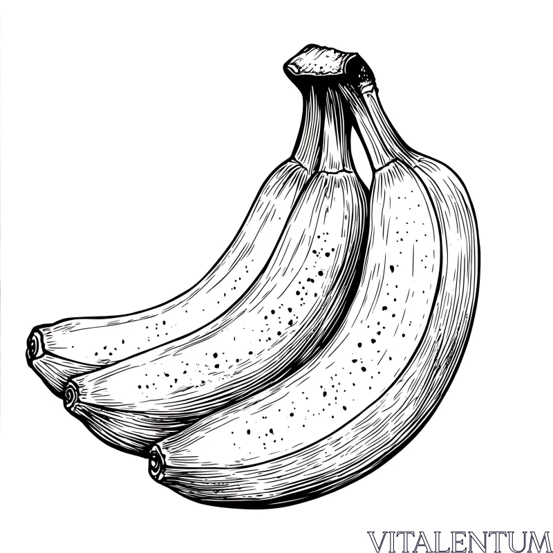 Detailed Banana Sketch AI Image