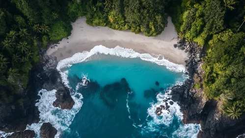 Tropical Island Coastline from Above