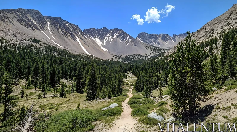 Mountain Valley Hiking Path AI Image